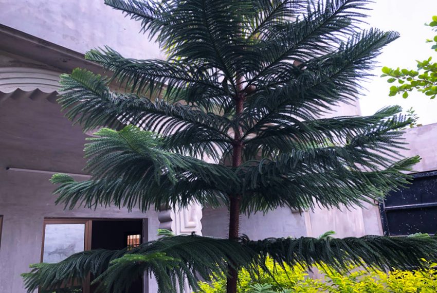 Villa à vendre a apéssito route mission tové légbassito 6